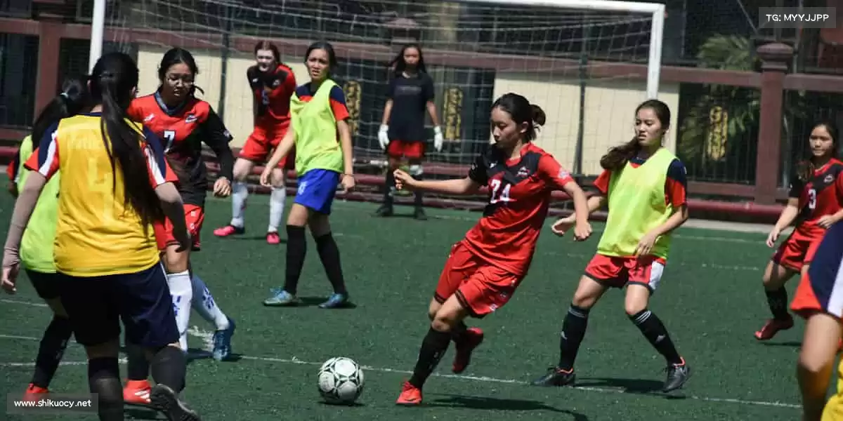 我们的核心竞争力